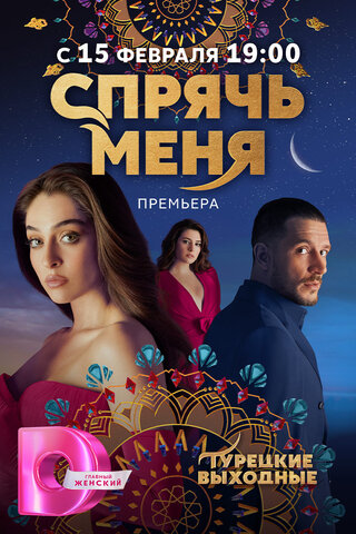 Спрячь меня - постер сериала